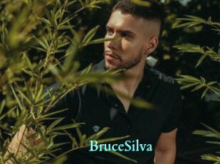 BruceSilva
