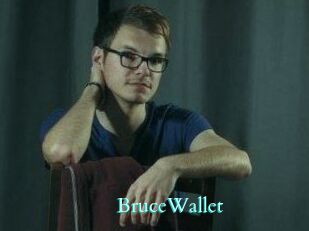 BruceWallet Free Gay Porn Finder