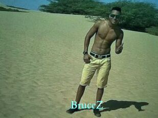 BruceZ