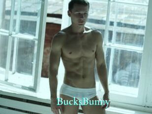BucksBunny