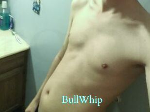 BullWhip