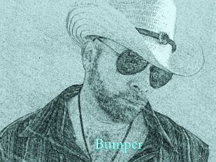 Bumper