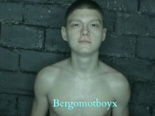 Bergomotboyx