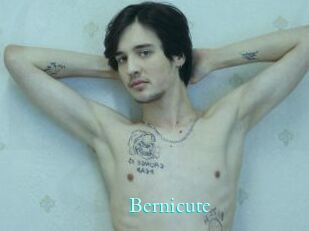 Bernicute