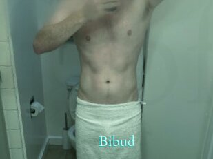Bibud