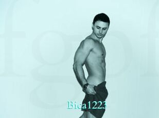 Bica1223