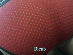 Bicub