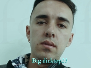 Big_dicktop23