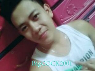 BigCOCK2001