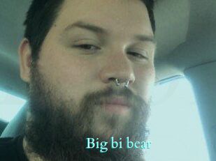 Big_bi_bear