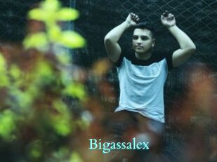 Bigassalex