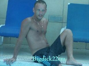 Bigdick22cm