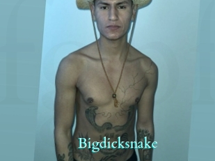 Bigdicksnake