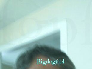 Bigdog614