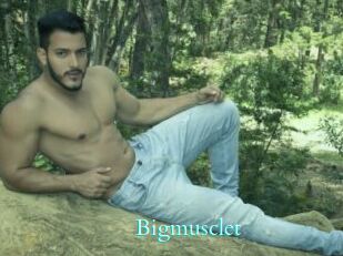 Bigmusclet