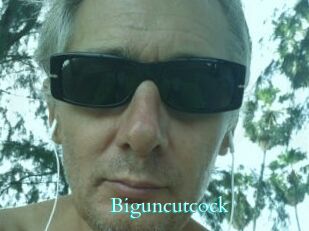 Biguncutcock