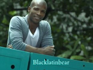 Blacklatinbear