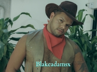 blakeadamsx Free Gay Porn Finder