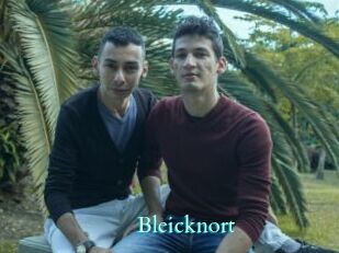 Bleicknort