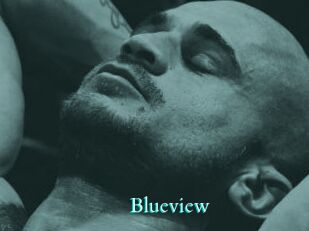 Blueview