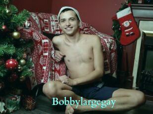 Bobbylargegay