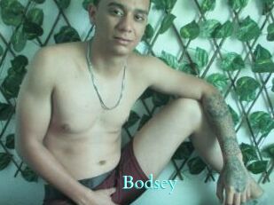 Bodsey