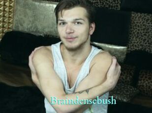 Braindensebush