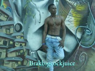 Brakbigcockjuice
