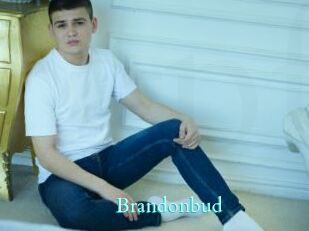 Brandonbud
