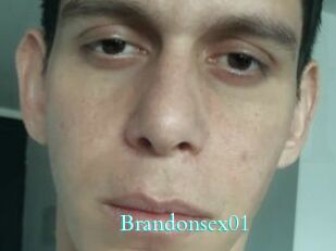 Brandonsex01