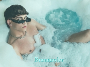Branntaylor