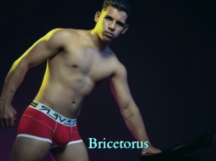 Bricetorus