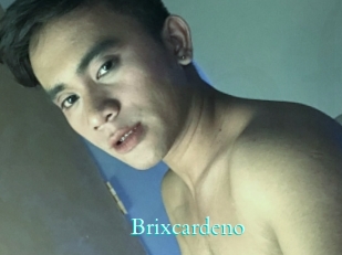 brixcardeno Free Gay Porn Finder