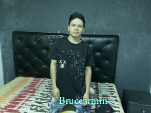 Brucearmin