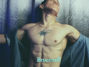 Brucemill