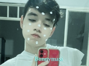 Bunnymaxi