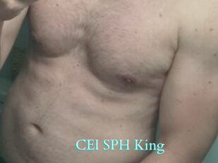 CEI_SPH_King Free Gay Porn Finder