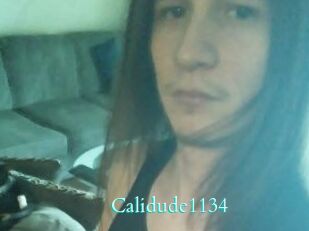 Calidude1134