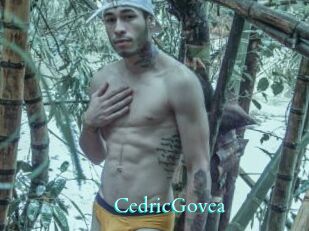 CedricGovea
