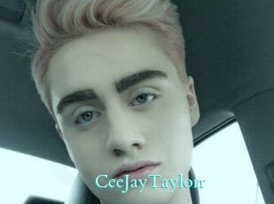 CeeJayTaylorr