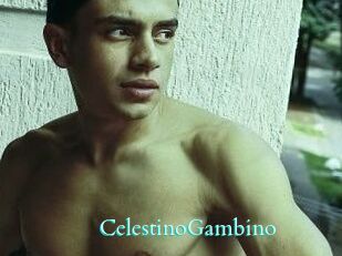 CelestinoGambino