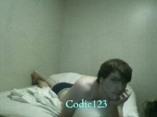 Codie123