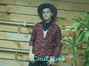 Conall_Hawk