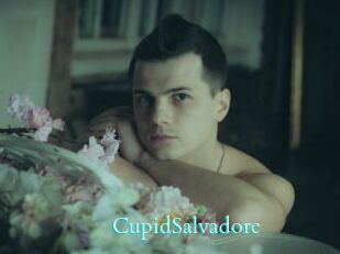 CupidSalvadore