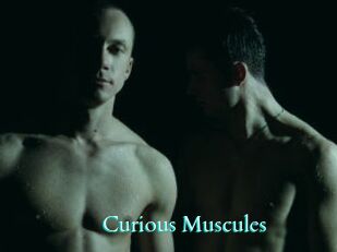 Curious_Muscules