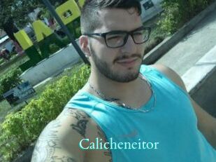 Calicheneitor