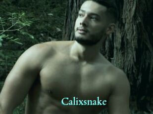 Calixsnake