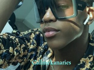 Callmekanaries
