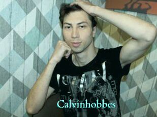 Calvinhobbes