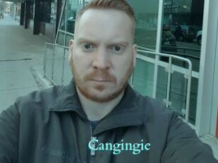 Cangingie